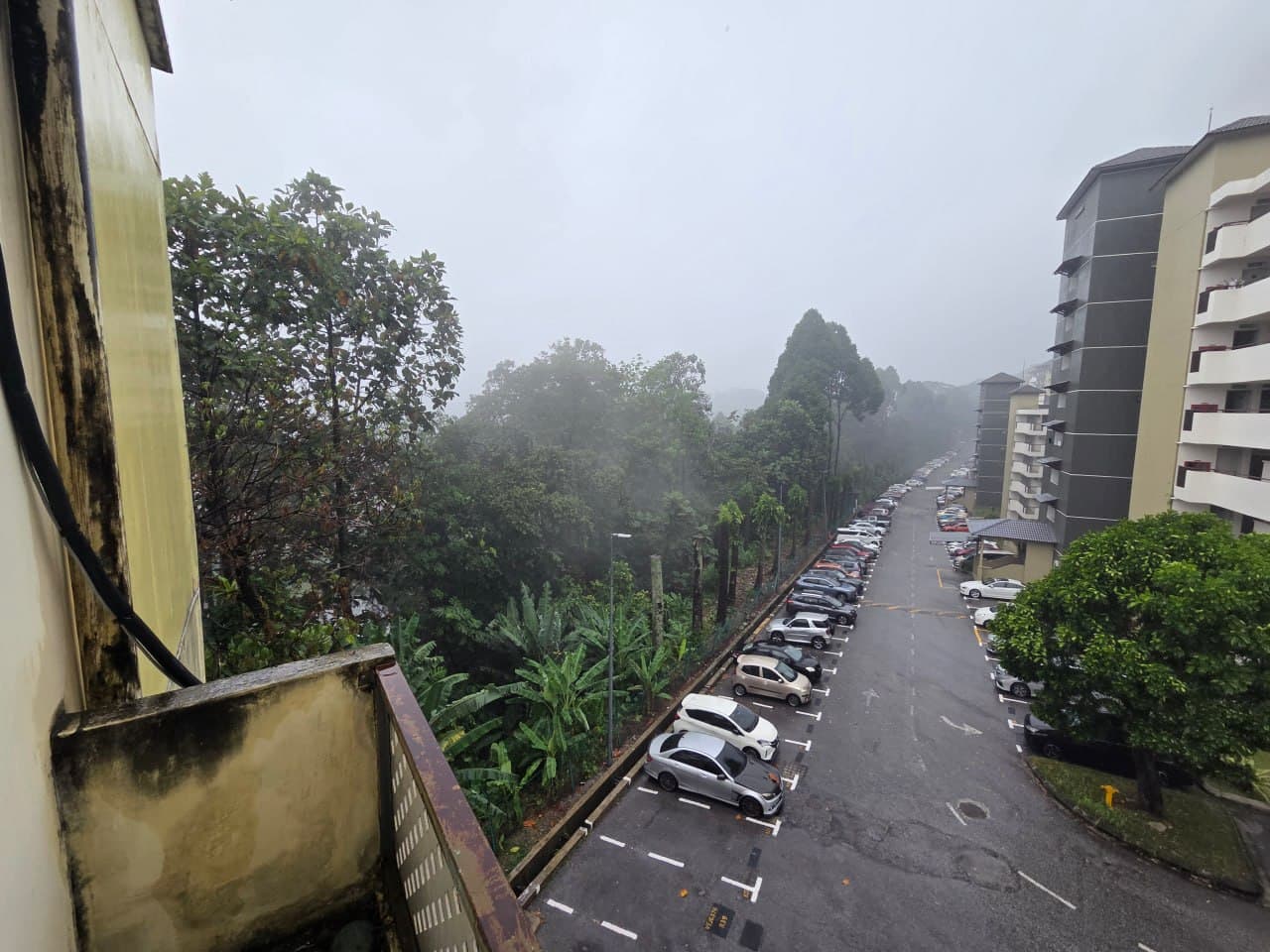 Paradesa Tropica, Bandar Sri Damansara - Image 1